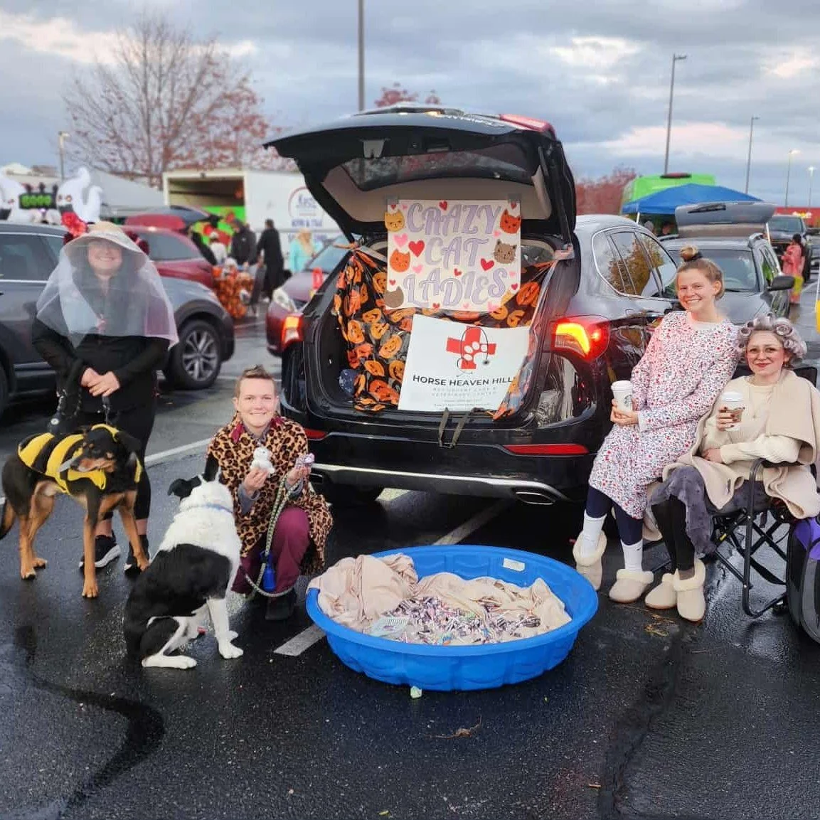 ππΎ Trunk or Treat Fun at PetSmart πΎπ
A few of our team members from Horse Heaven Hills Pet Urgent Care showed up in purr-fect fashion for PetSmart’s Trunk or Treat event — fully dressed as crazy cat ladies!π±π
It was such a fun nig