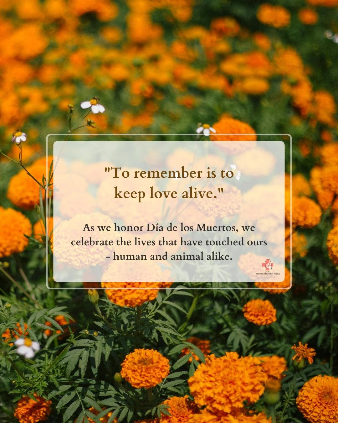 🌼Honoring Love and Memory 🌼

This D&iacute;a de los Muertos, we pause to remember the lives that have touched ours &mdash; both human and animal. 🕯️💛

Our ofrenda in the back lobby is open for anyone who wishes to visit, reflect, and honor the lo