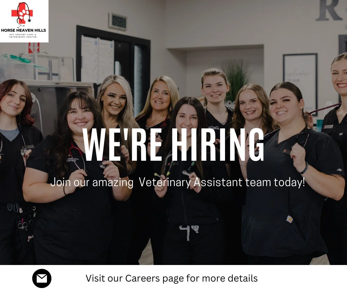 🐾 We&rsquo;re Hiring🐾
Horse Heaven Hills Pet Urgent Care &amp; Veterinary Center is looking for a full-time Veterinary Assistant to join our amazing team! 💙

If you&rsquo;re passionate about animal care, teamwork, and making a difference every day