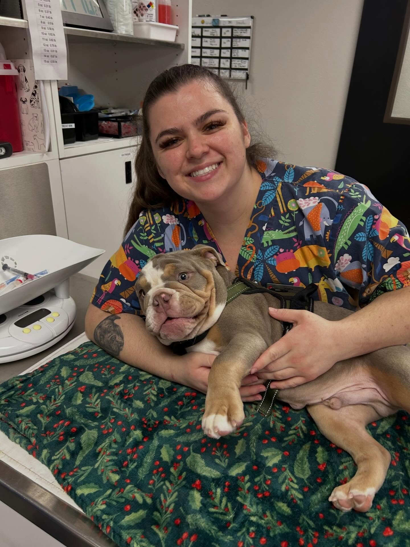 ✨🐶 Pet of the Week: Charlie 🐶✨

This week, Horse Heaven Hills Pet Urgent Care is absolutely obsessed with Charlie - a 17-week-old English Bulldog who has been stealing hearts since his very first puppy exam! 💙🐾

Yesterday was a BIG day for this l