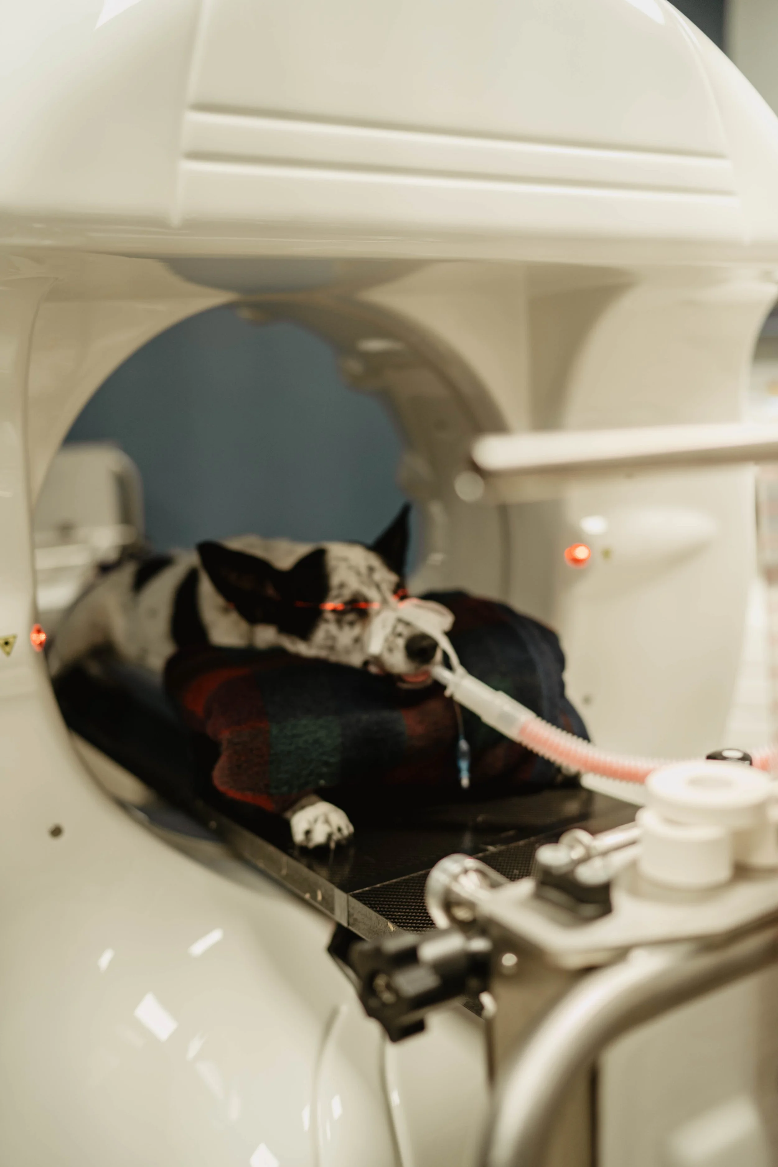 Commuted Tomography (CT)