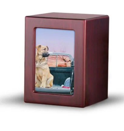 Wooden photo frame with a picture of a dog in a car trunk.