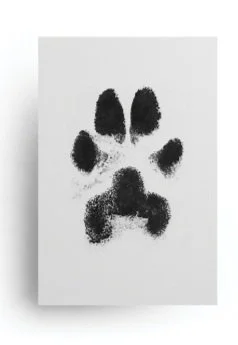Black paw print on white background