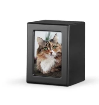 Black photo frame with a picture of a brown and white cat