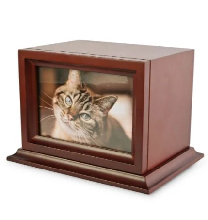 Wooden pet memorial urn with a photo of a tabby cat