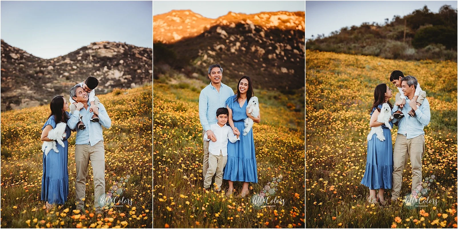 three vertical photos of a family of 3 on a wildflower trail in San Diego