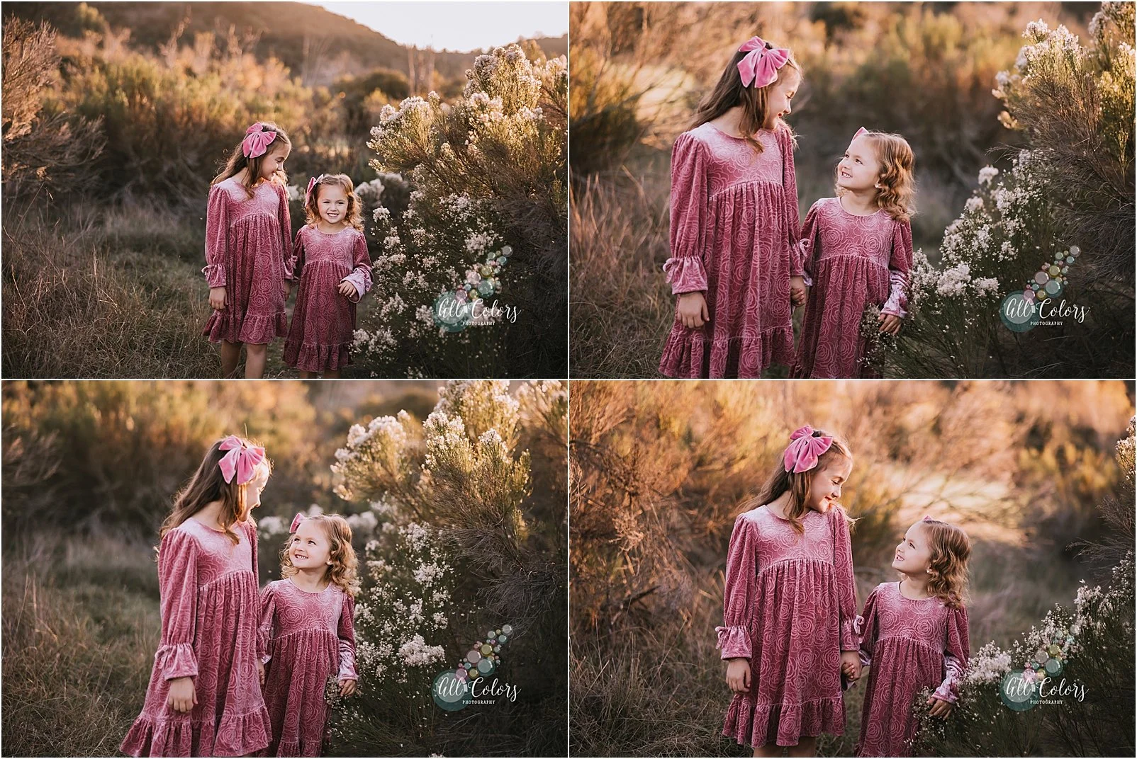photocollage of two sisters walking on a field of bushes while holding hands