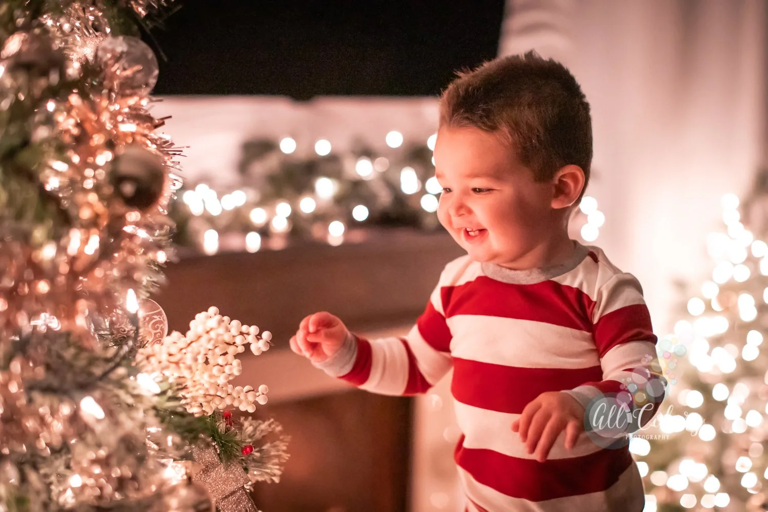 Magical Christmas Tree Lights Sessions in San Diego – Now Booking!