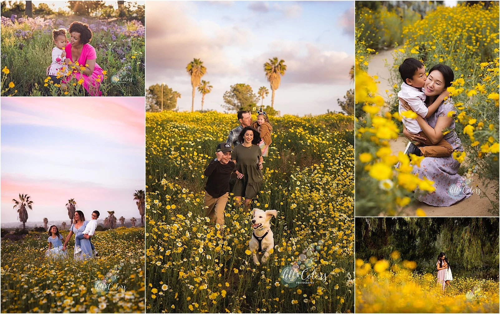 photos of families and their kids in yellow and purple wildflower fields in San Diego