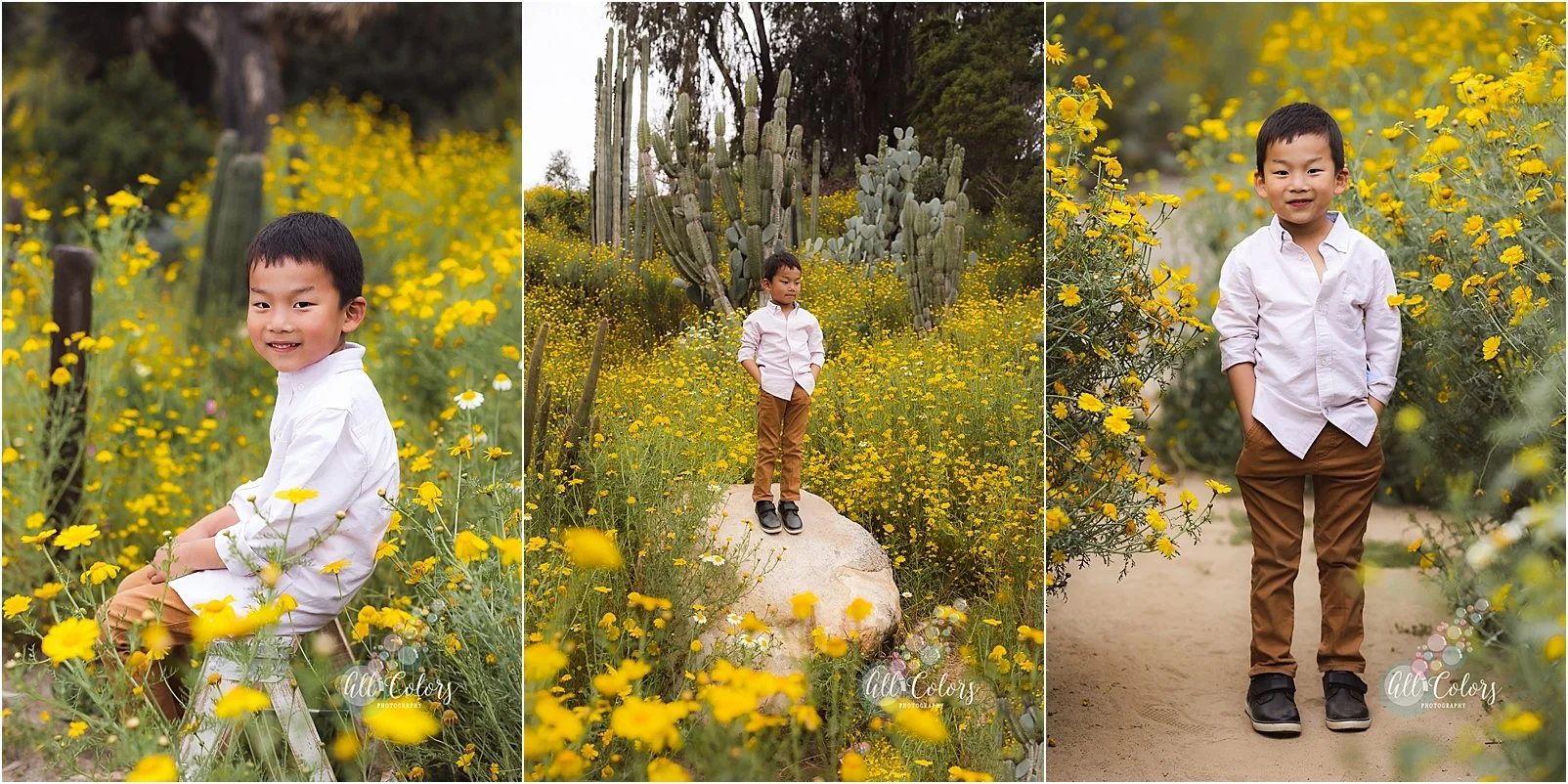 Three photos of an asian boy in the middle of yellow wildflowers in a trail.