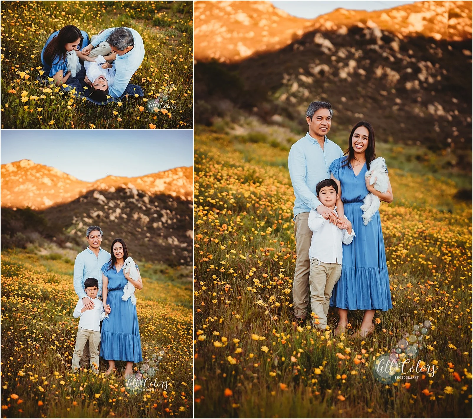 Collage of  3 photos of a mom, dad, son and small dog on a wildflower fields.
