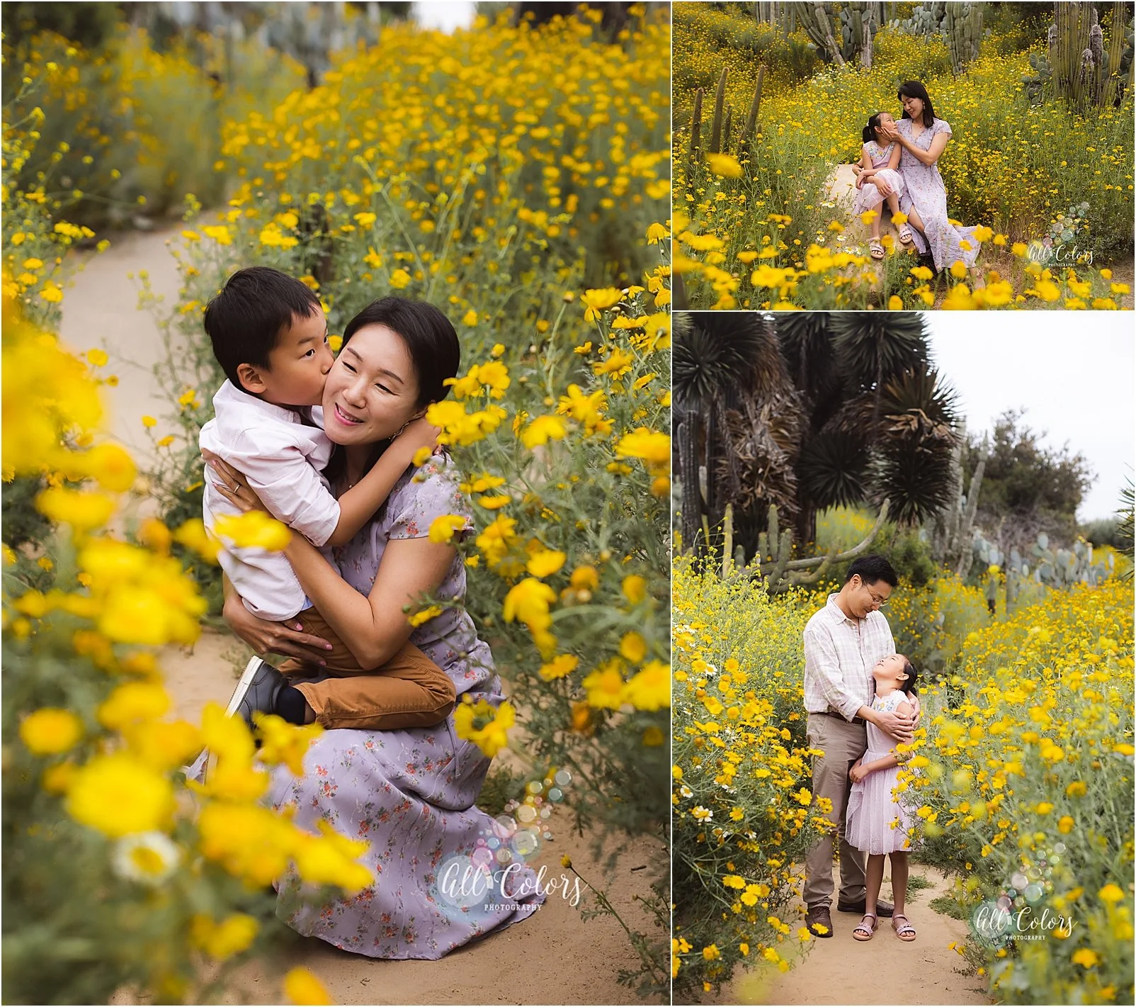 Photos of parents with their children in a trail full of yellow daisies