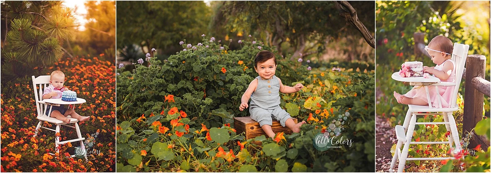 Milestone photography in wildflower fields.
