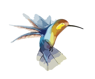 Hummingbird Modern