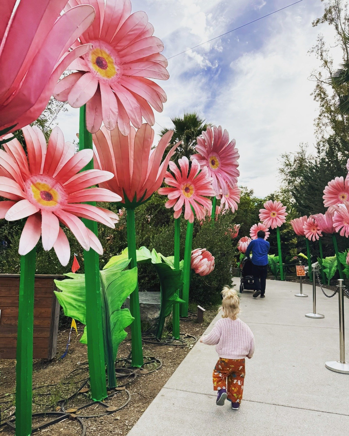 Following the toddler into wonderland