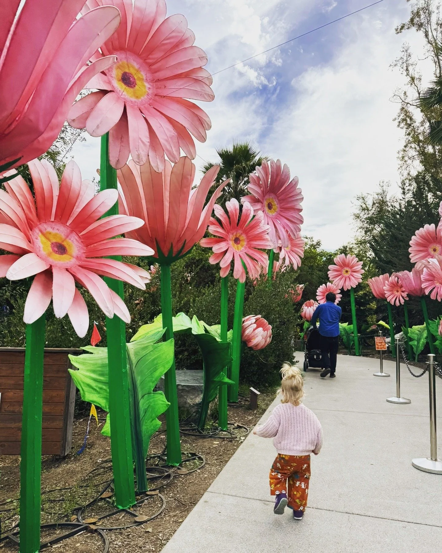 Following the toddler into wonderland