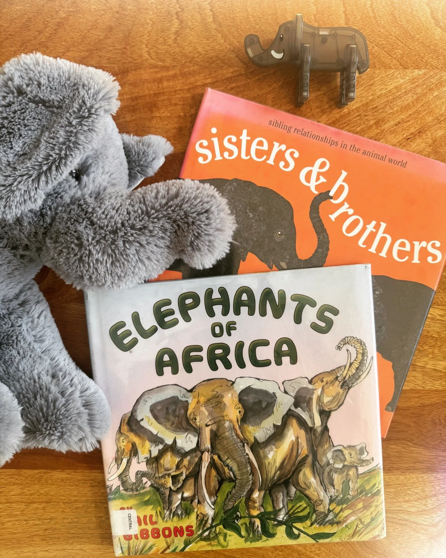 Library haul of elephant books found some friends!