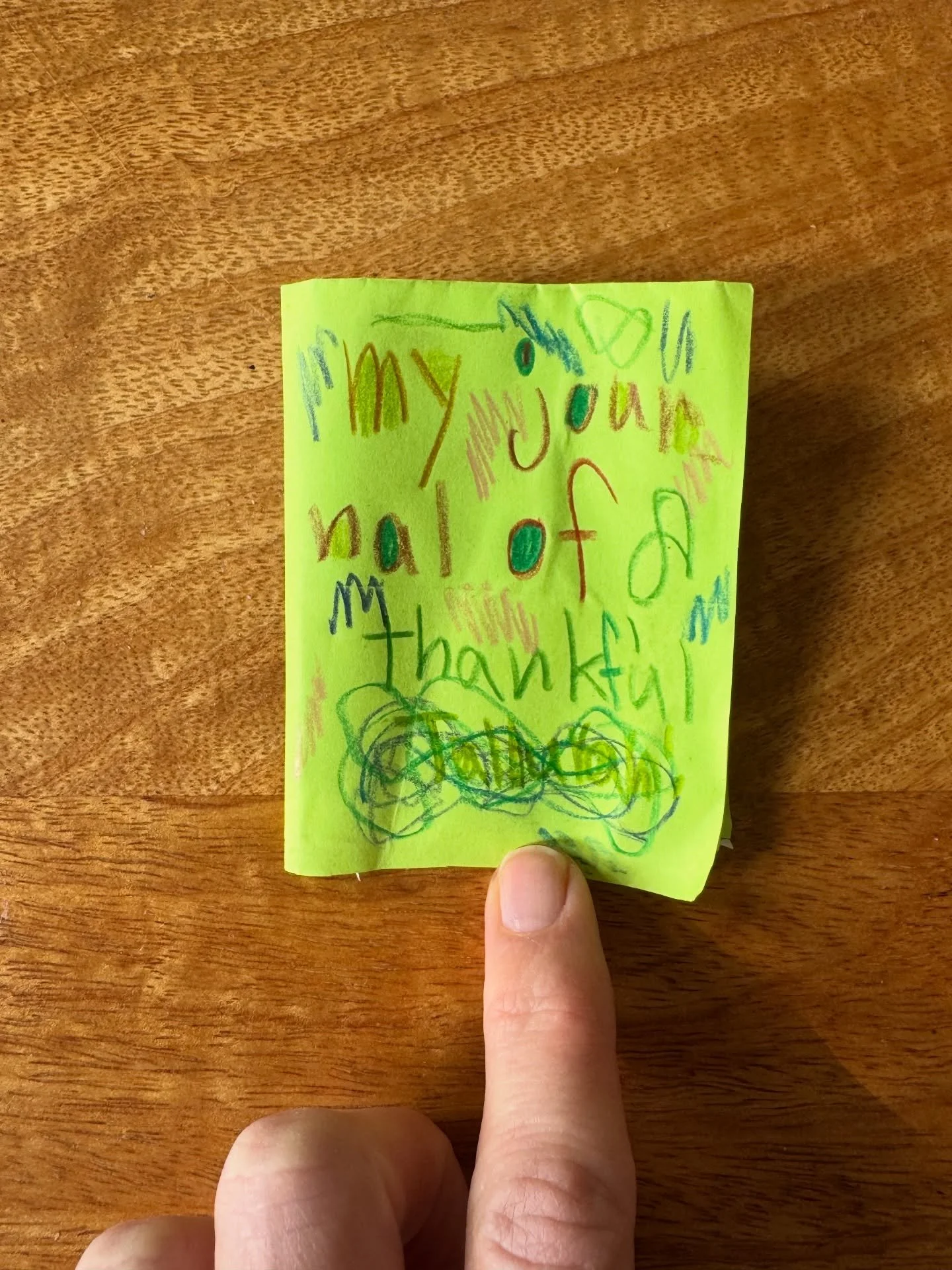 T came home with a tiny gratitude journal she made and I&rsquo;m utterly delighted