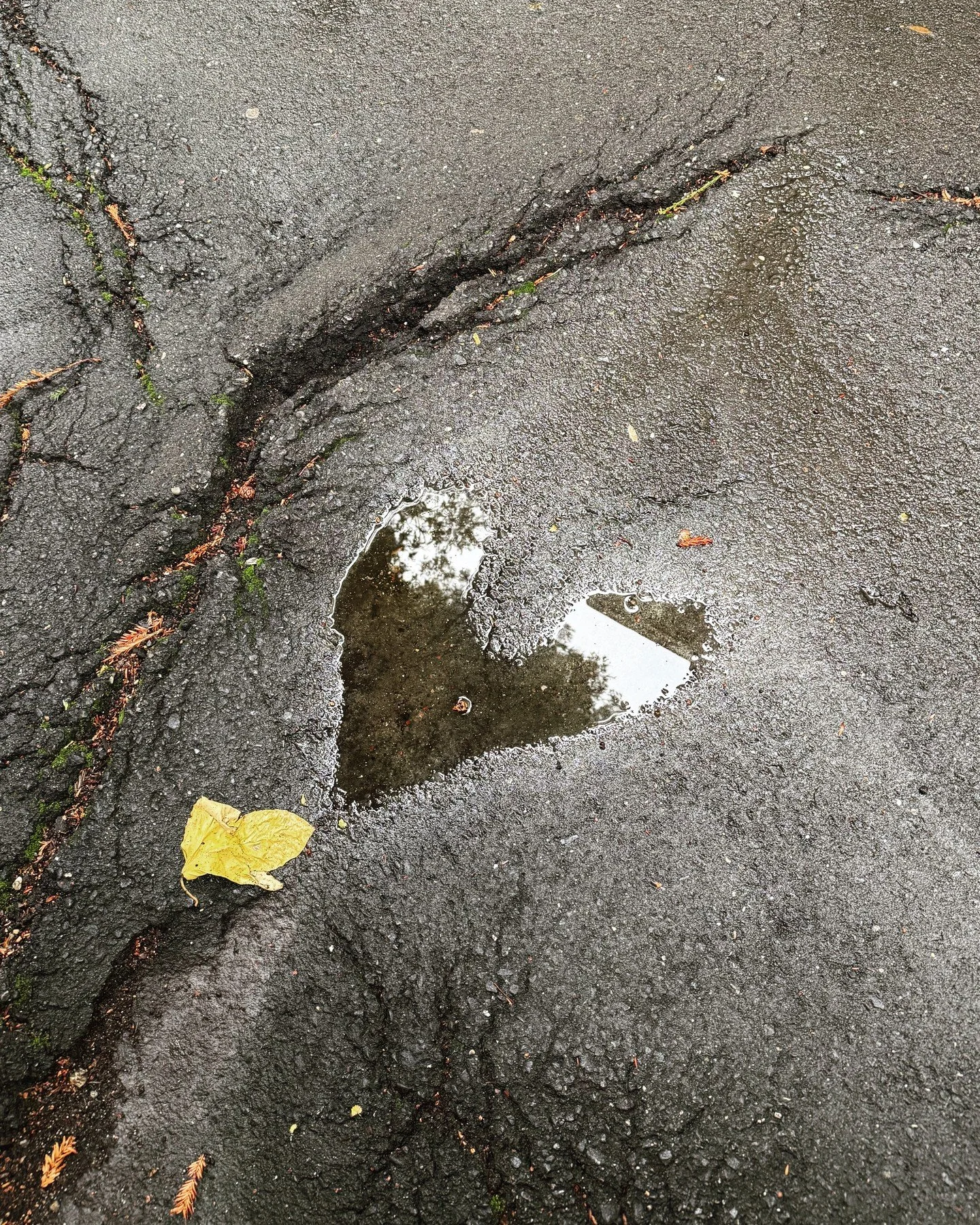 Noticing tiny moments of beauty is one of the ways that experts say can boost our happiness. So you bet I took a photo of this heart puddle that T pointed out yesterday!