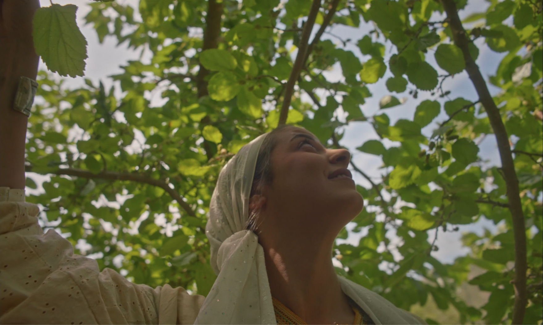 Don't Be Long Little Bird [short]