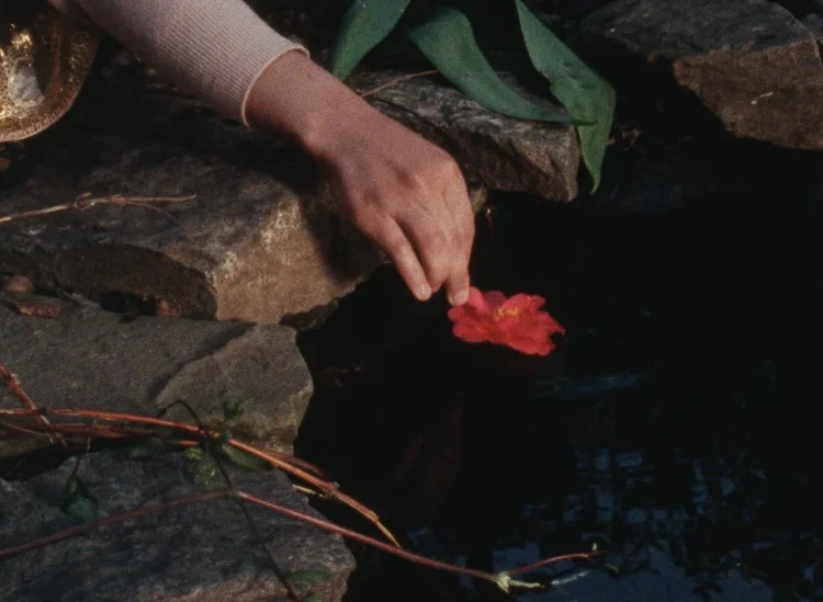 Atash, Aisha, Teyh: Three Films by Parine Jaddo (+ Q&amp;A)