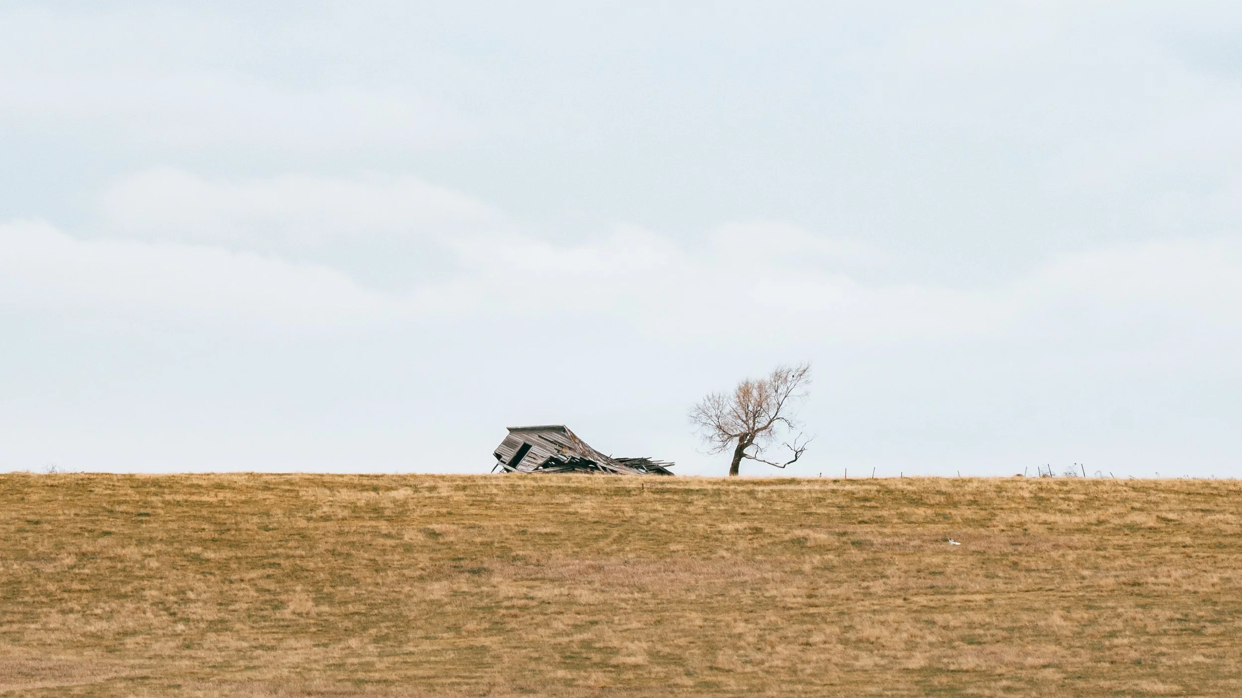 Backroads_Bear_Butte-02.jpg