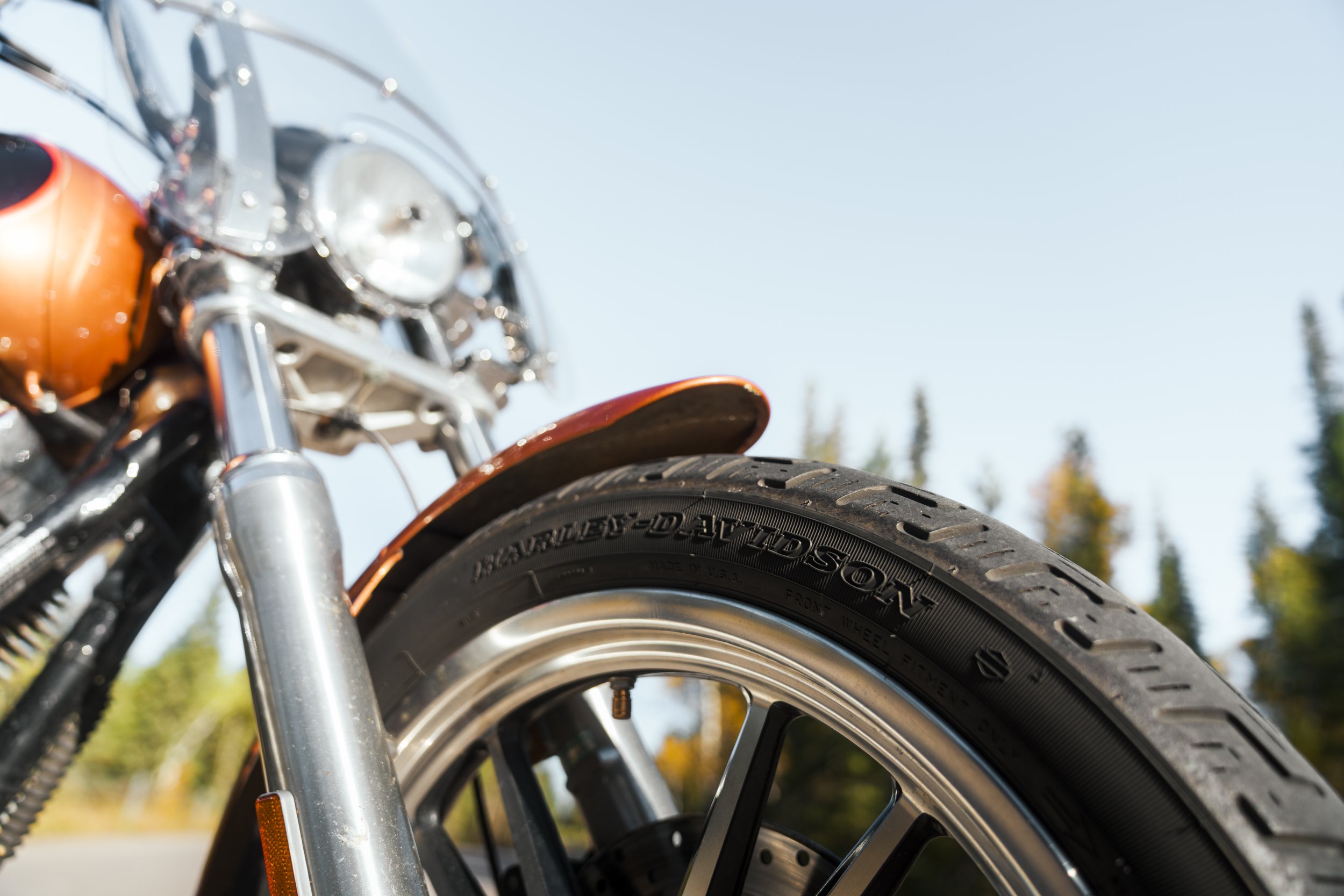 Dyna_Fall_2008-09.jpg
