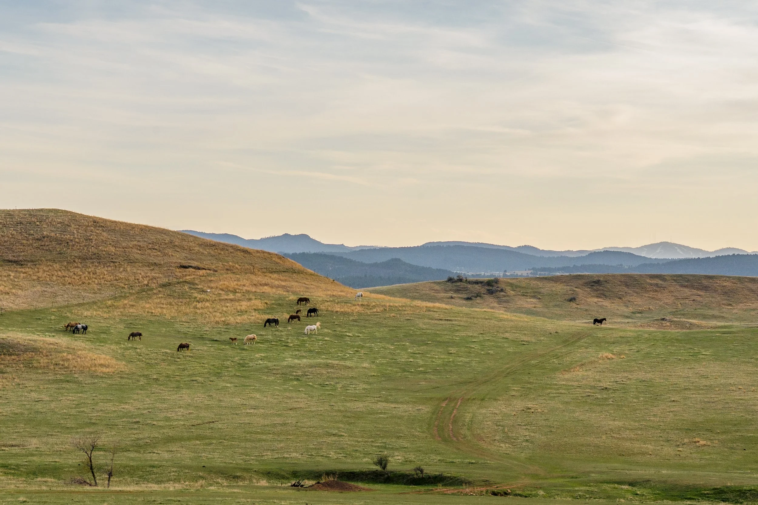 Backroads_Bear_Butte-22.jpg