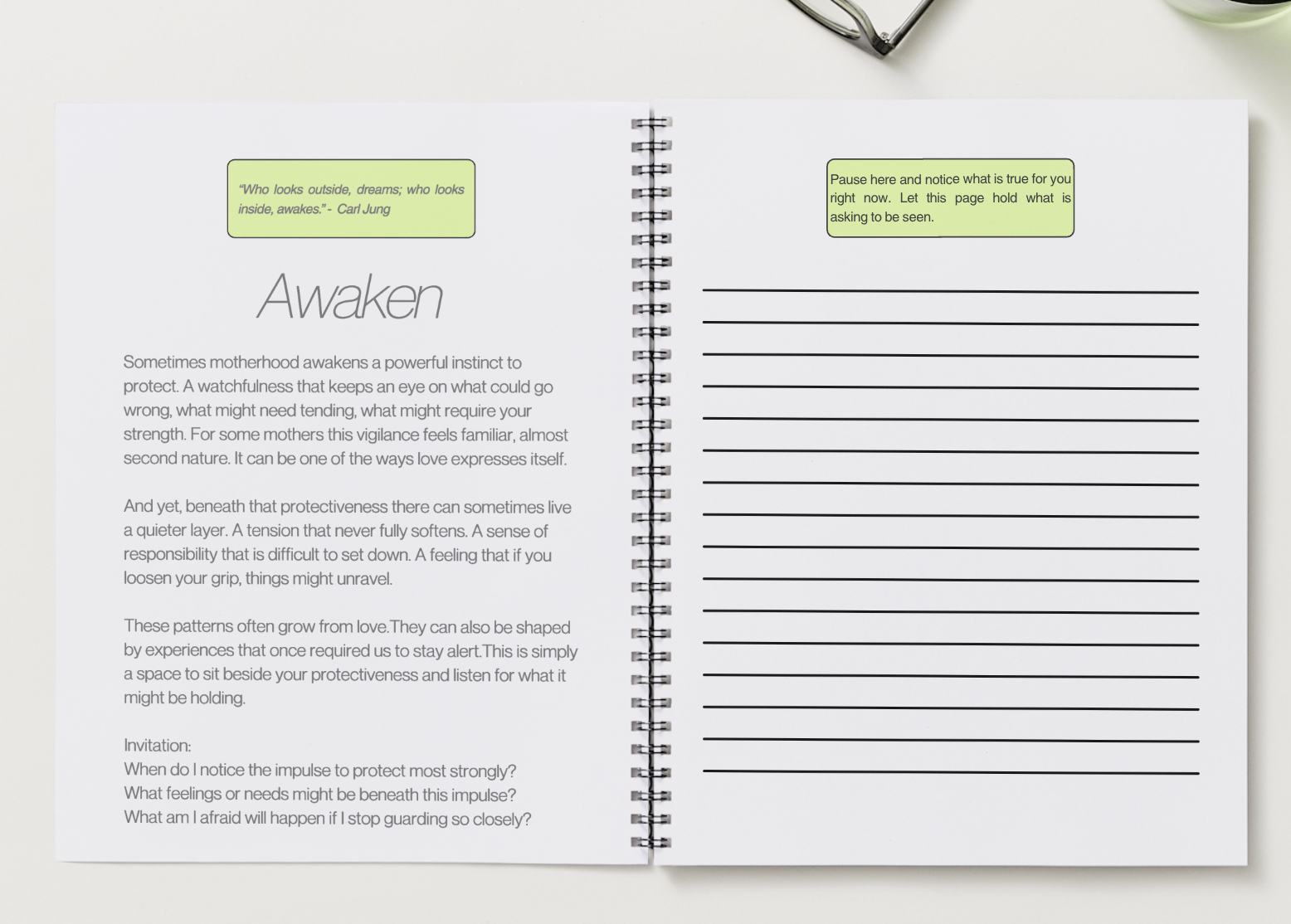 protector guide 1.png