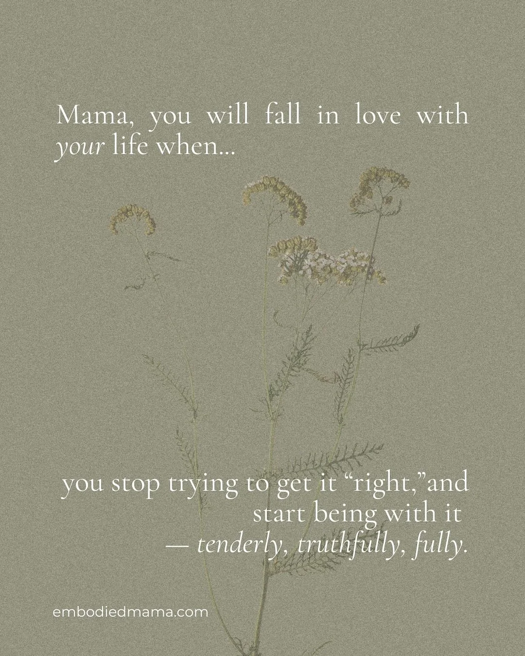 We’ve felt it too.
The burnout.
The exhaustion.
The sense of defeat.
Like life was happening to us,
and we were barely keeping up.
But something in us chose to stay.
To feel.
To tend.
To unravel and reweave the stories.
To remember that love f