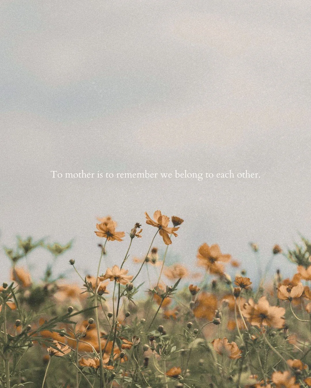 Like flowers in a living ecosystem, mothering is not a solitary act. It is shaped by cycles, by seasons, by connection. No flower blooms on its own. It depends on the unseen—on soil, sunlight, water, bees, and time. Just as we, as mothers, rely