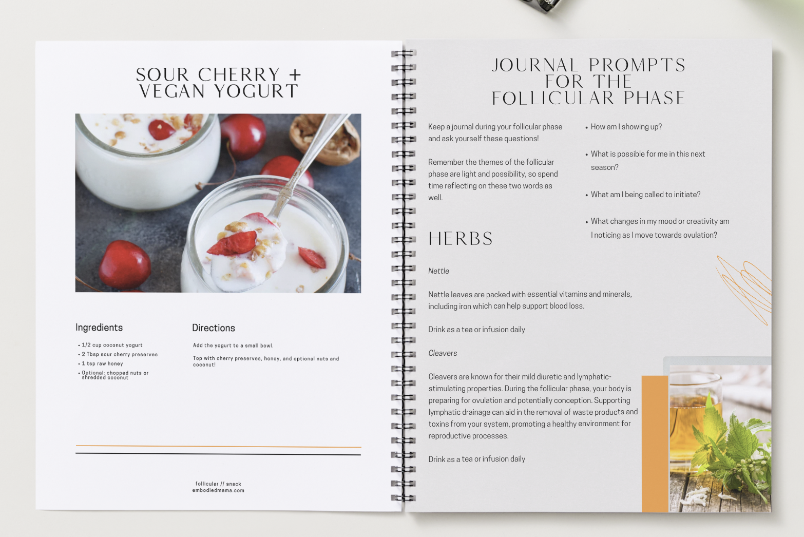 follicular phase.png