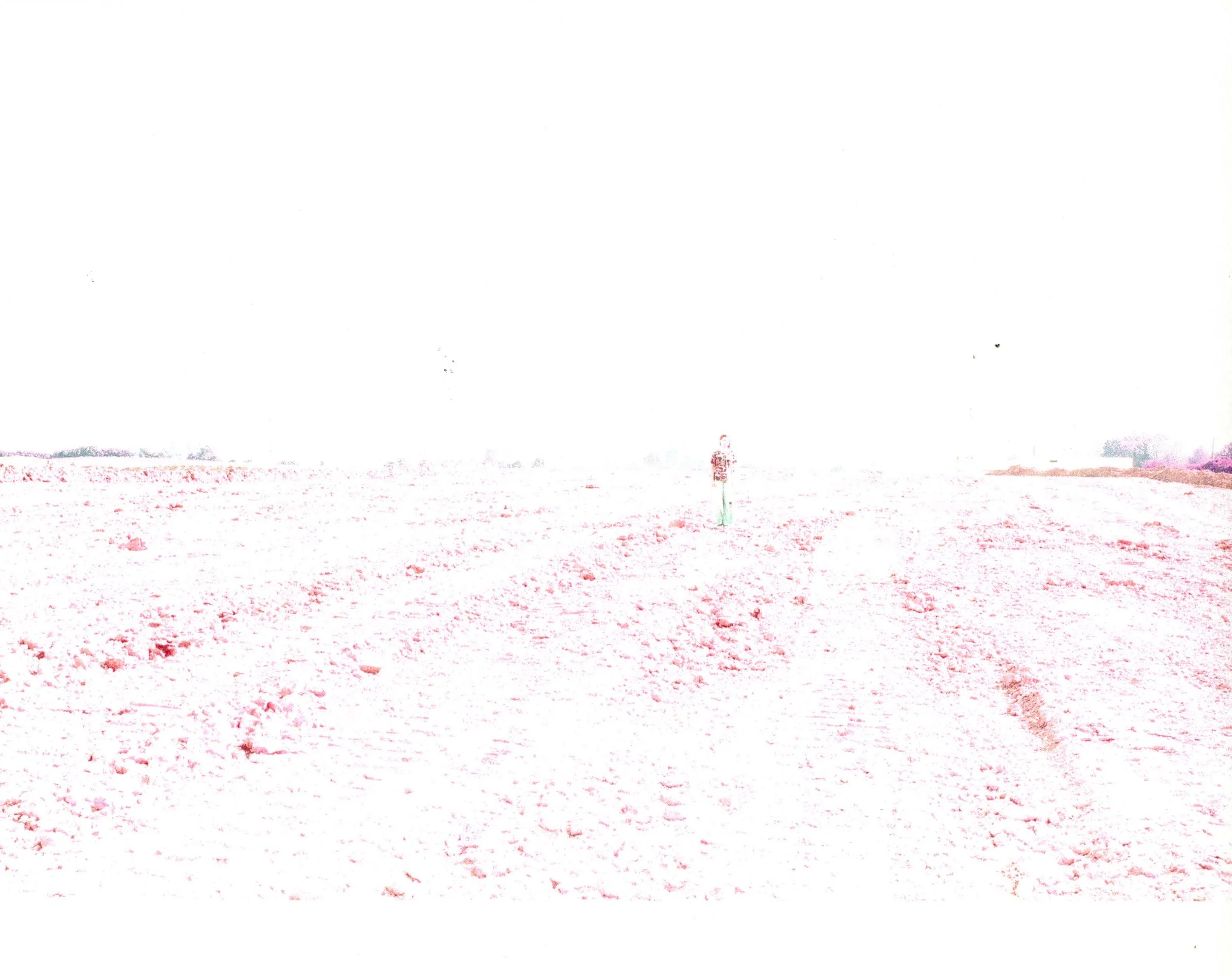 horizon_lot_0009 copy.jpeg