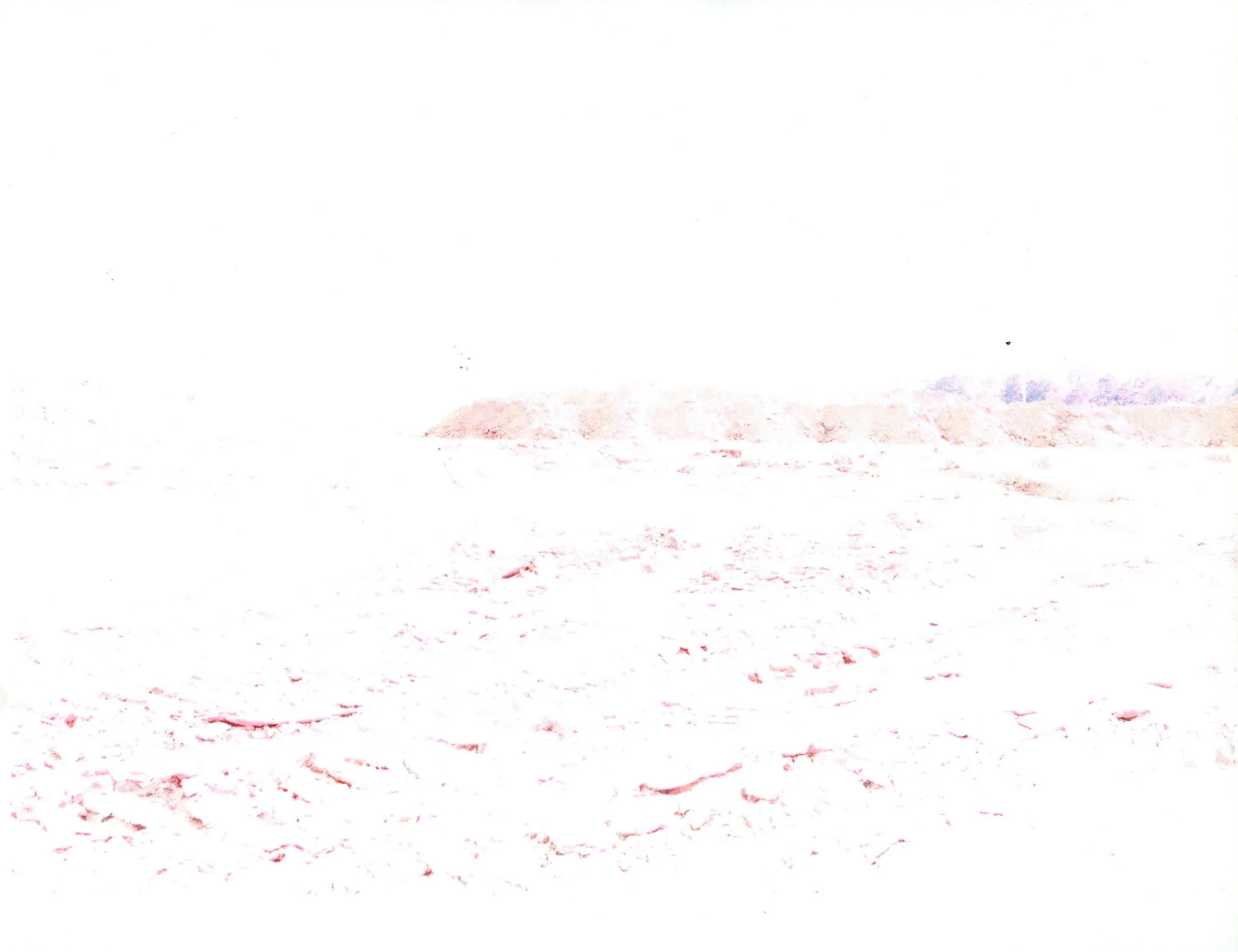 horizon_lot_0007 copy.jpeg