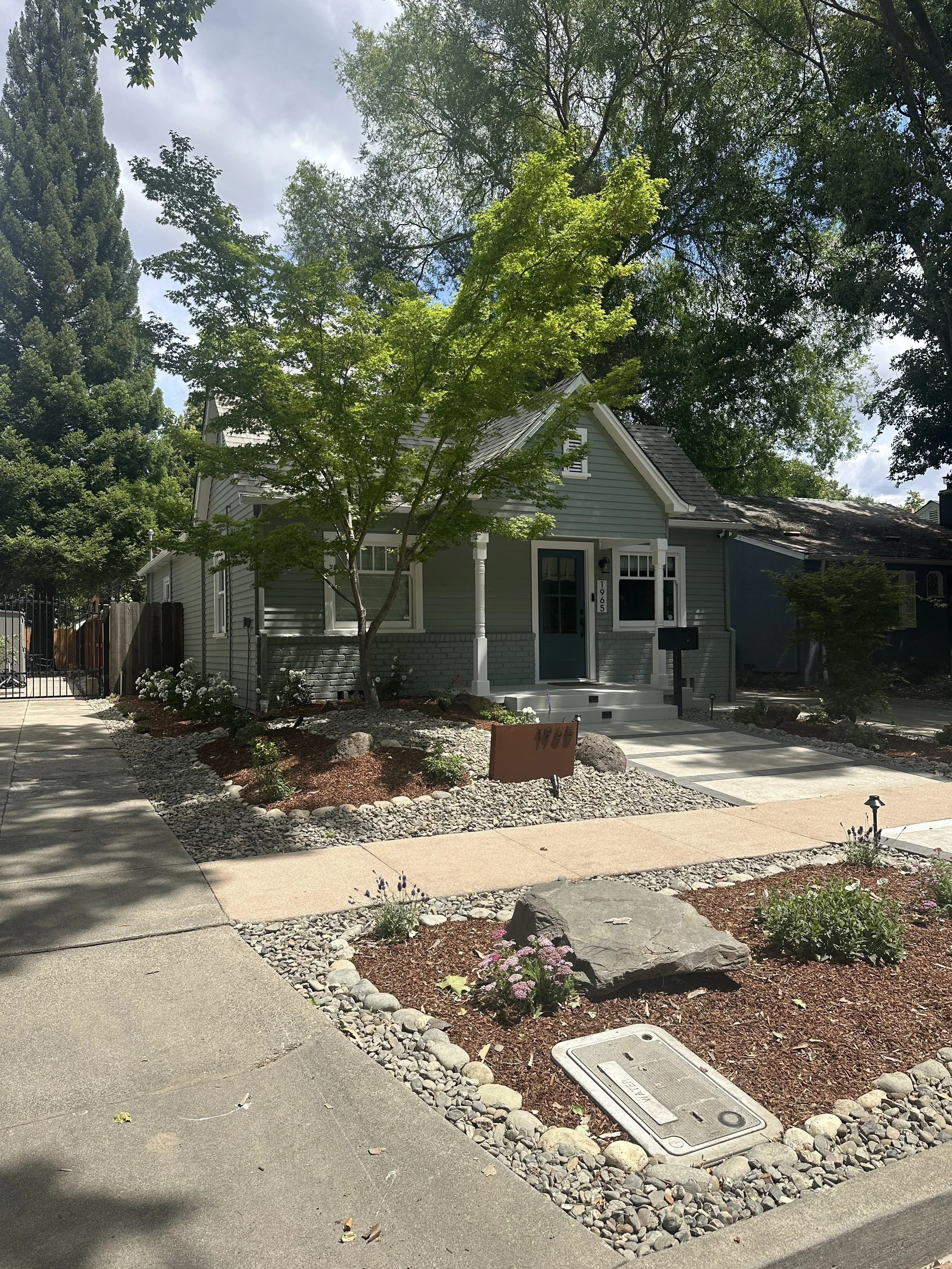 Land Park Complete Landscape Renovation