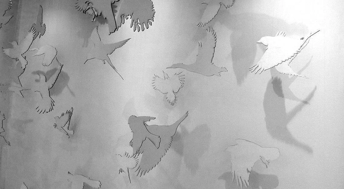 J'AIME LES OISEAUX