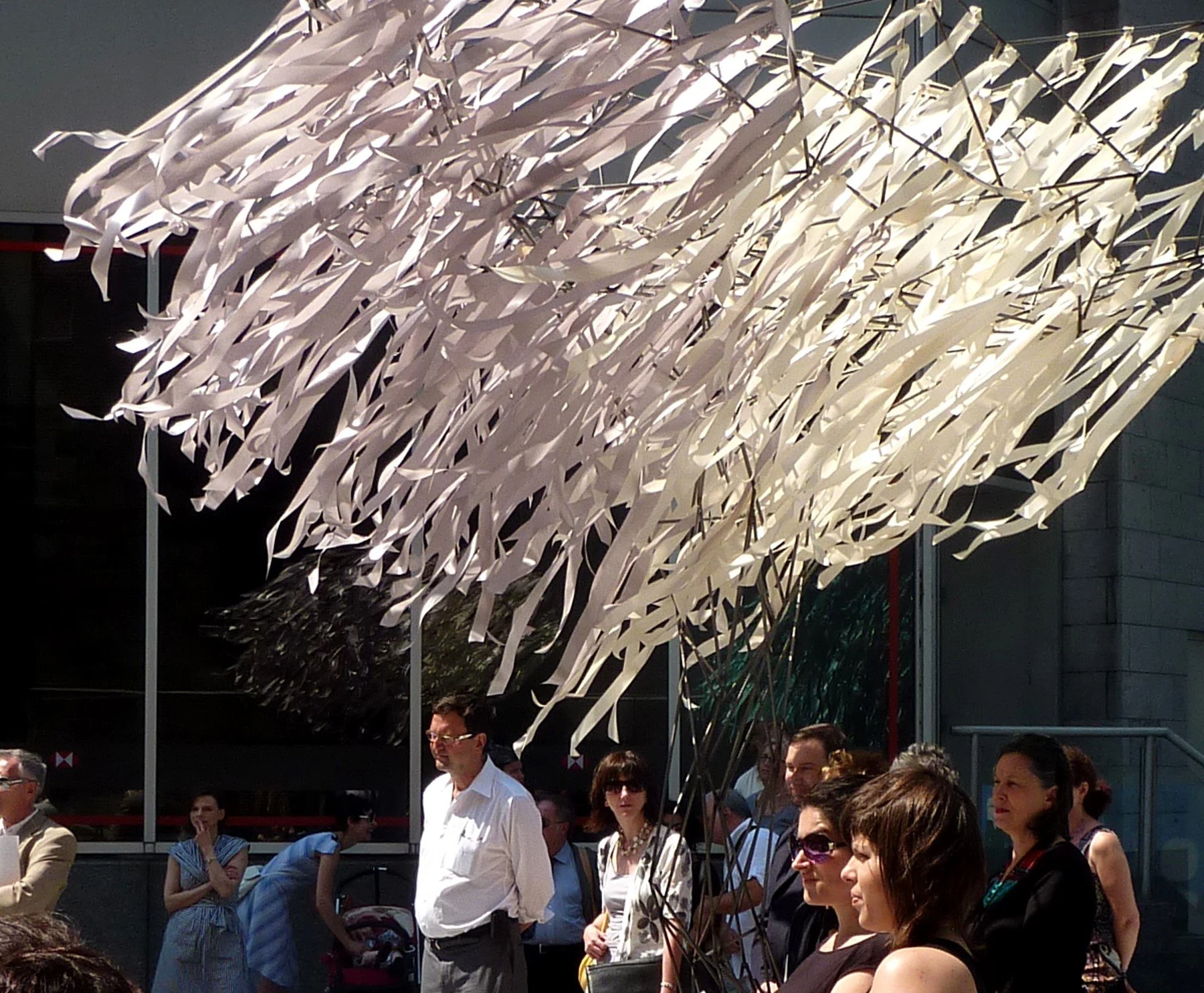 Image50.jpg