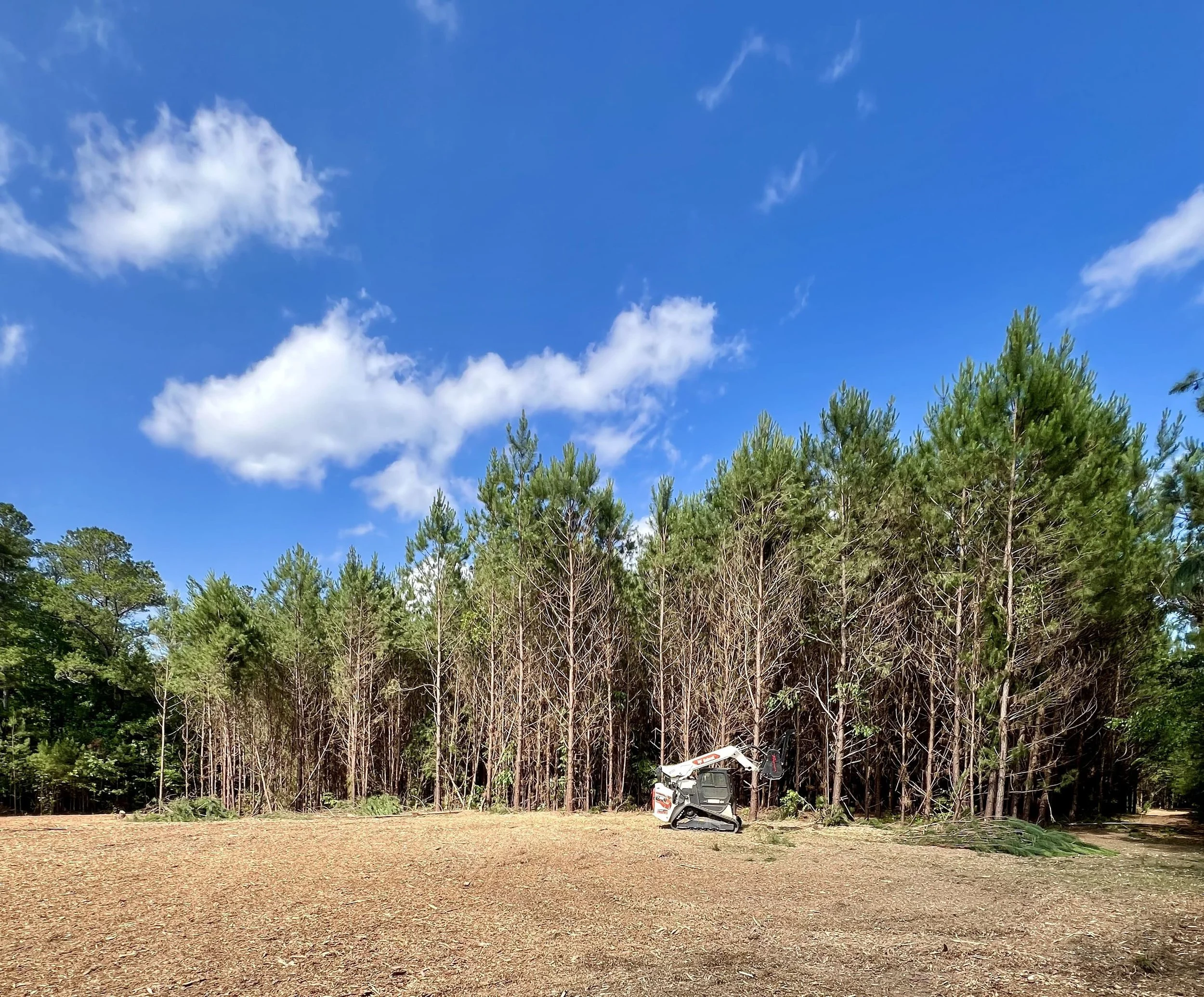 Land Clearing