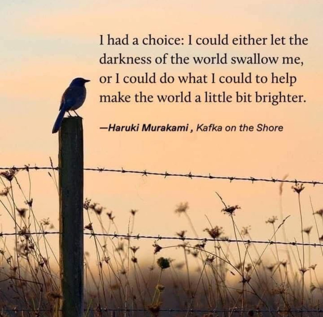 Choice for dark or light.jpeg