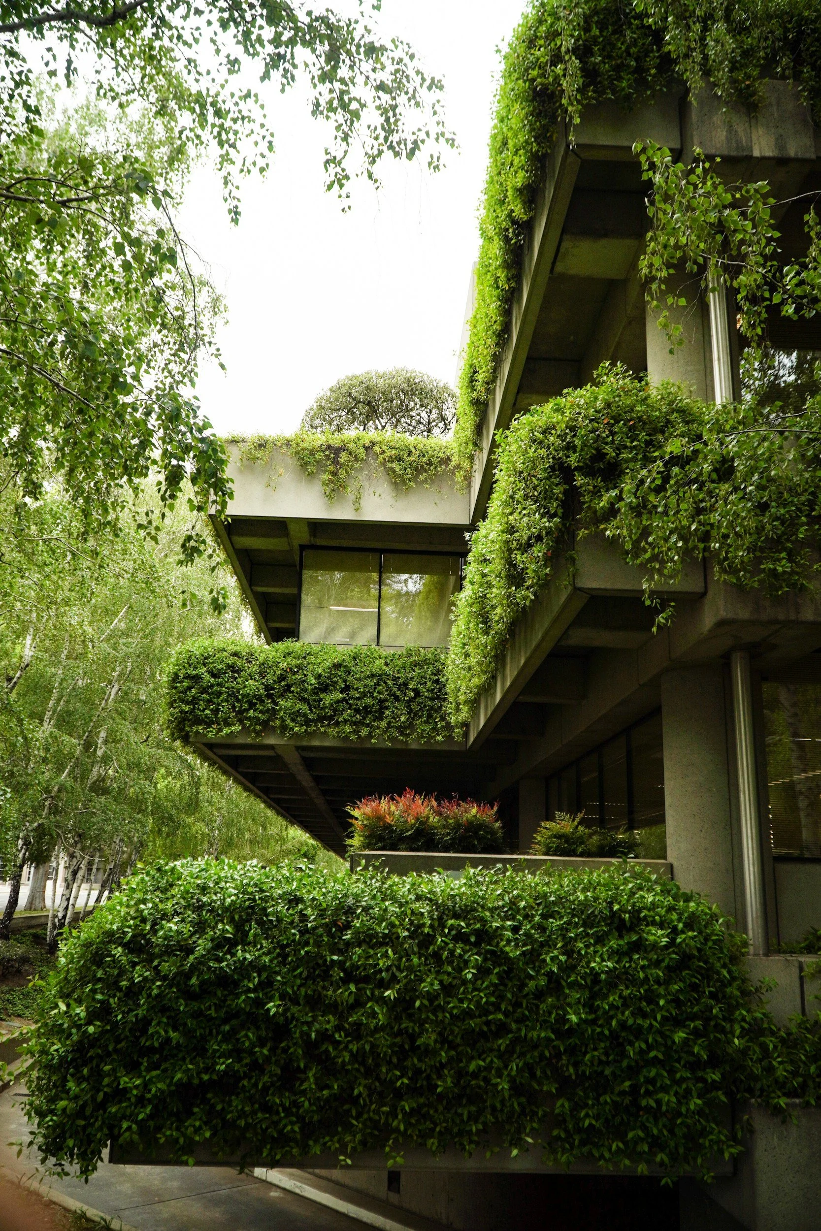 green plantings surrounding an eco-friendly building
