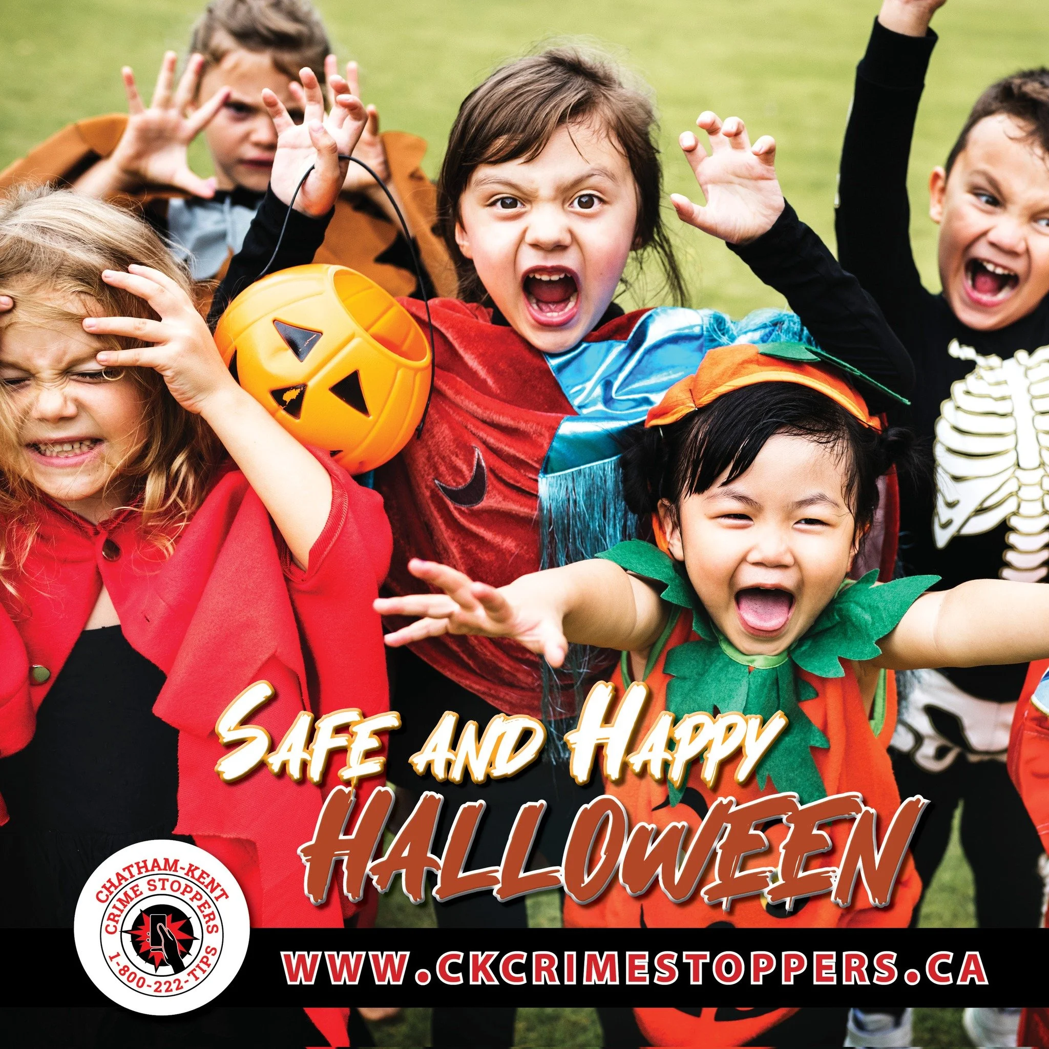 👻 Halloween Safety Tips from Chatham-Kent Crime Stoppers!👻 
Keep the night fun and safe with these simple reminders:

1️⃣ Stay visible &ndash; wear reflective tape or carry a flashlight.
2️⃣ Walk on sidewalks and cross at corners.
3️⃣ Check all tre