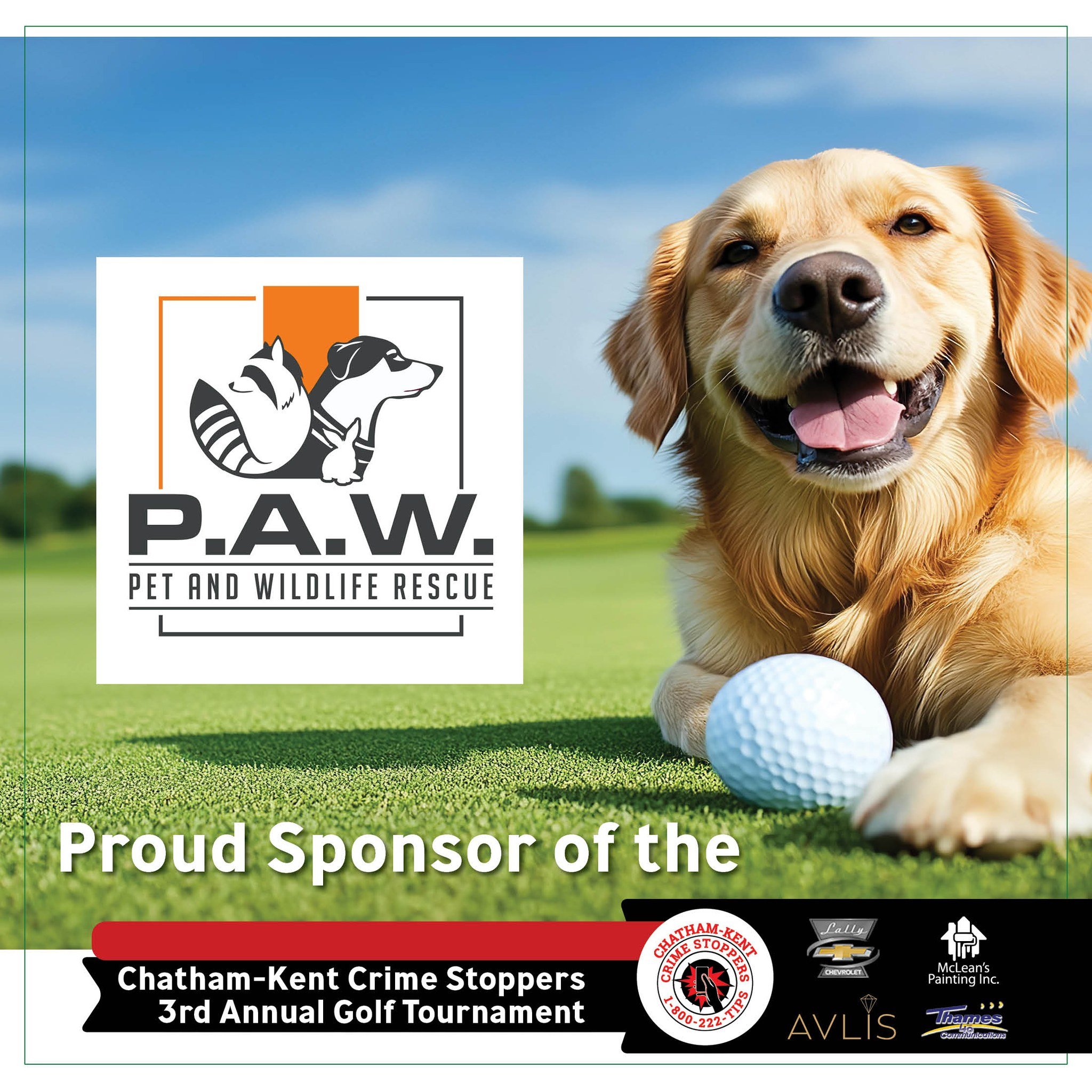 Pet and Wildlife Rescue is a hole sponsor for the 2026 Chatham-Kent Crime Stoppers Golf Tournament! We really appreciate their support. Learn more about them and all of our amazing sponsors: https://www.ckcrimestoppers.ca/2026-golf-tournament-sponsor