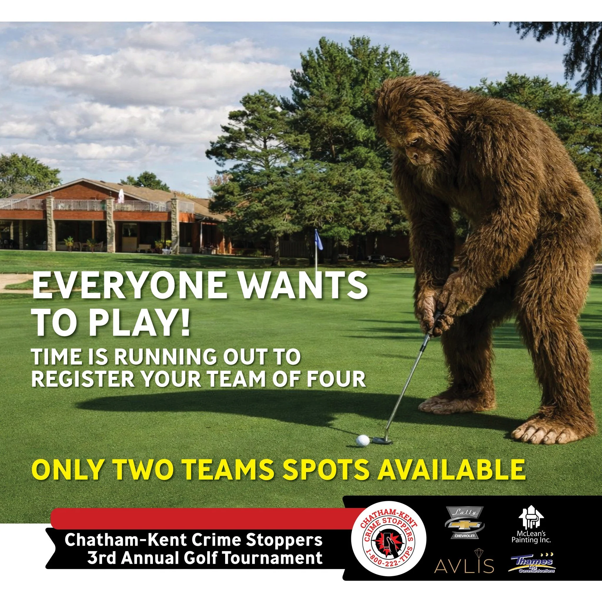 There are only two team spots remaining! We are no longer holding any spots in reserve, this is it. 
Register your team NOW: https://www.ckcrimestoppers.ca/store/p/chatham-kent-crime-stoppers-golf-tournament-team-registration

Event Details: 2026 Cha