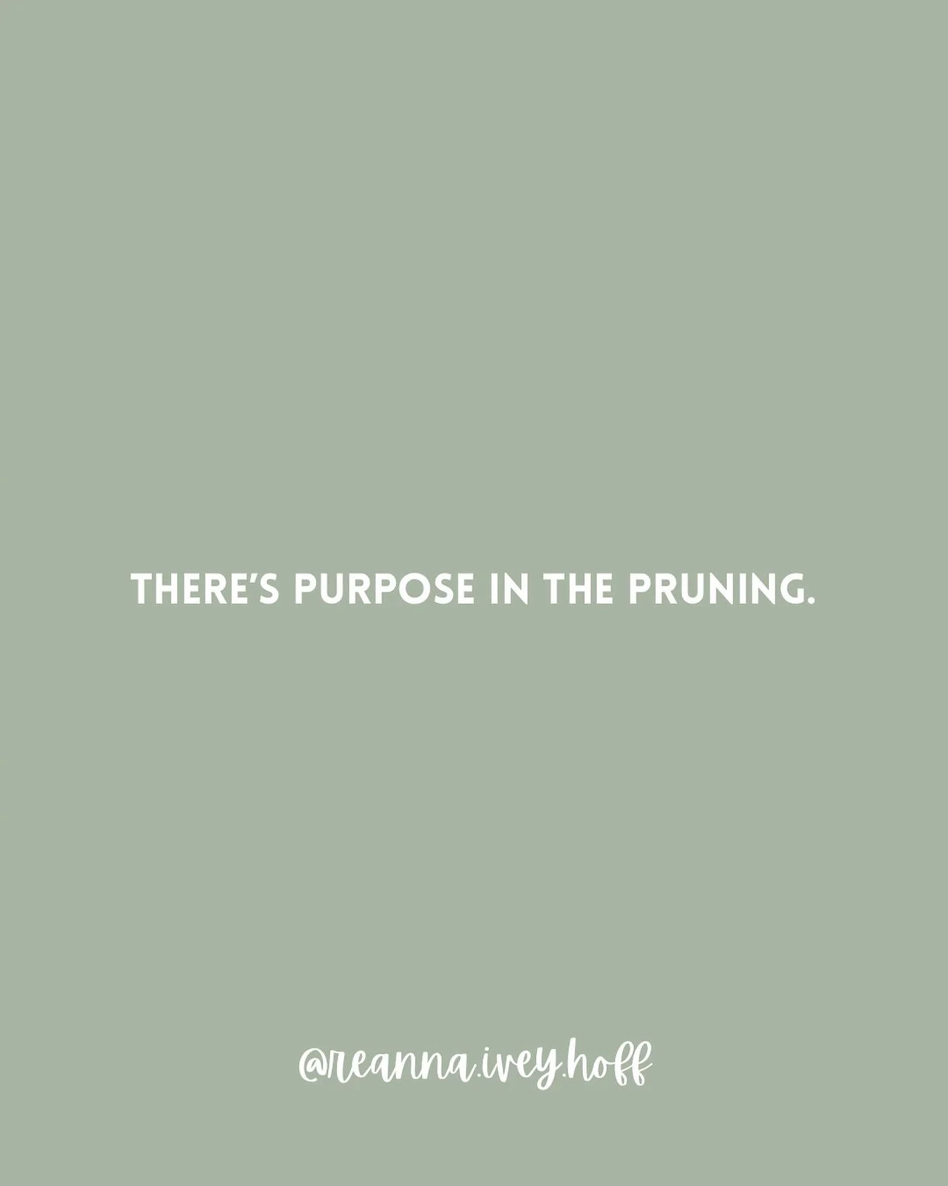 There&rsquo;s purpose in the pruning. 🌿

God isn&rsquo;t cutting you back to hurt you&mdash;He&rsquo;s making room for new growth.

Sometimes He removes what you thought you needed so you can become who He&rsquo;s called you to be.

The pruning may 