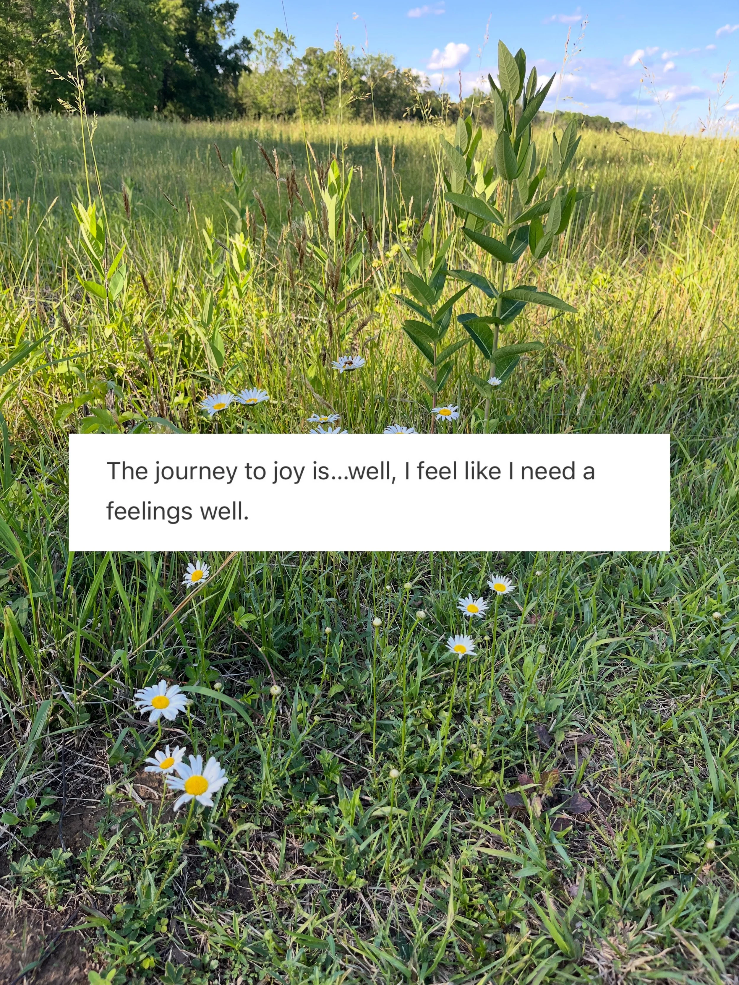 Somewhere between joy and grief, things are growing.

The fruit isn&rsquo;t fully visible yet, but the tiny green stalks are enough to remind me that God is still at work. 🌱

New on Substack. {Link in bio.}