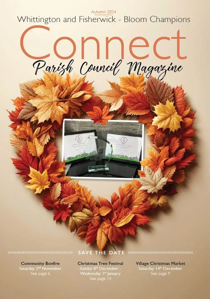 Connect Autumn 2024.jpg