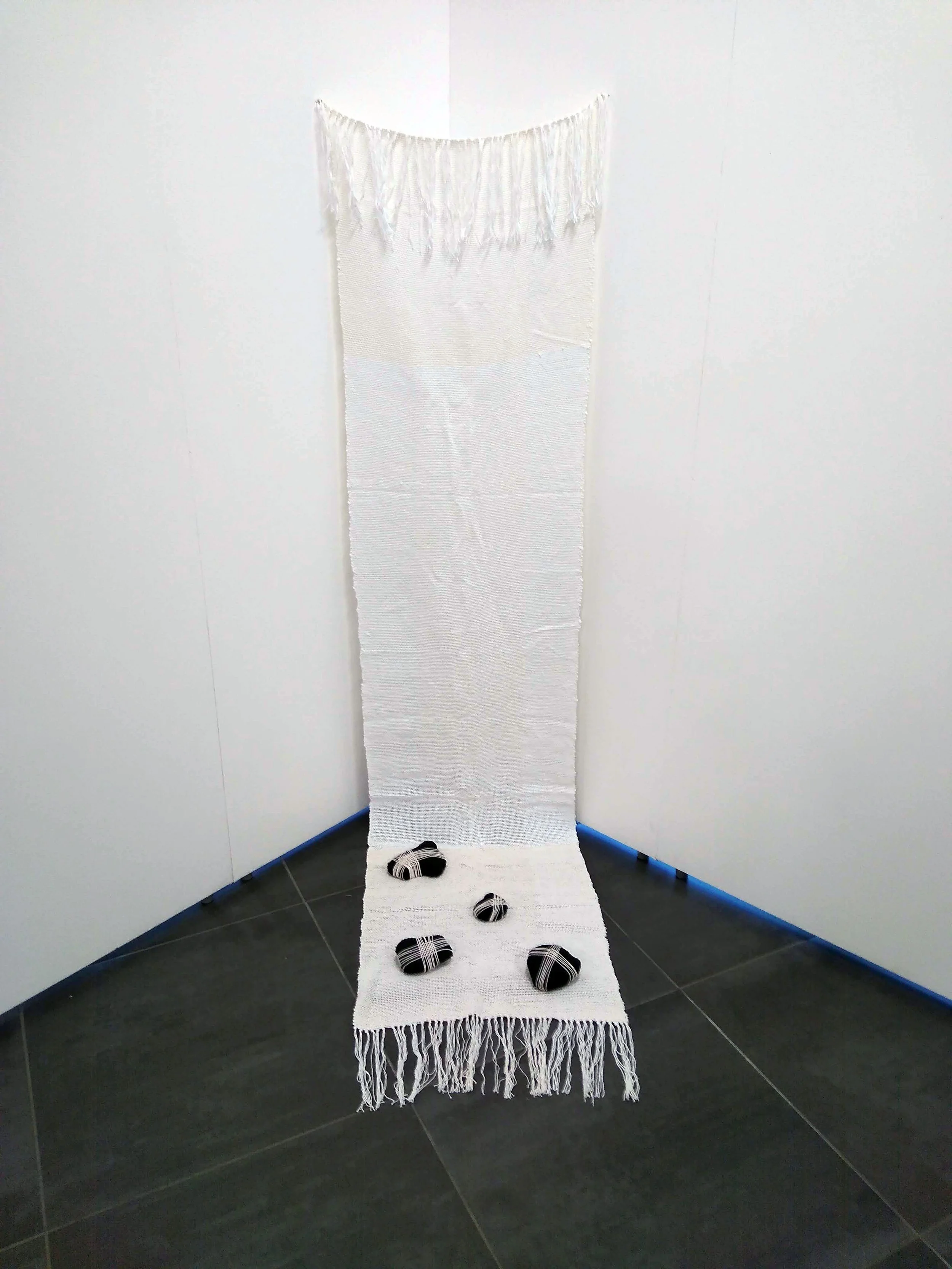 IMG_20240216_161422869 copy.jpg