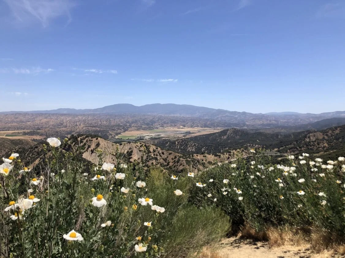 via-ojai-1-scaled-1126x844x0x0x1126x844x1621356625.jpg
