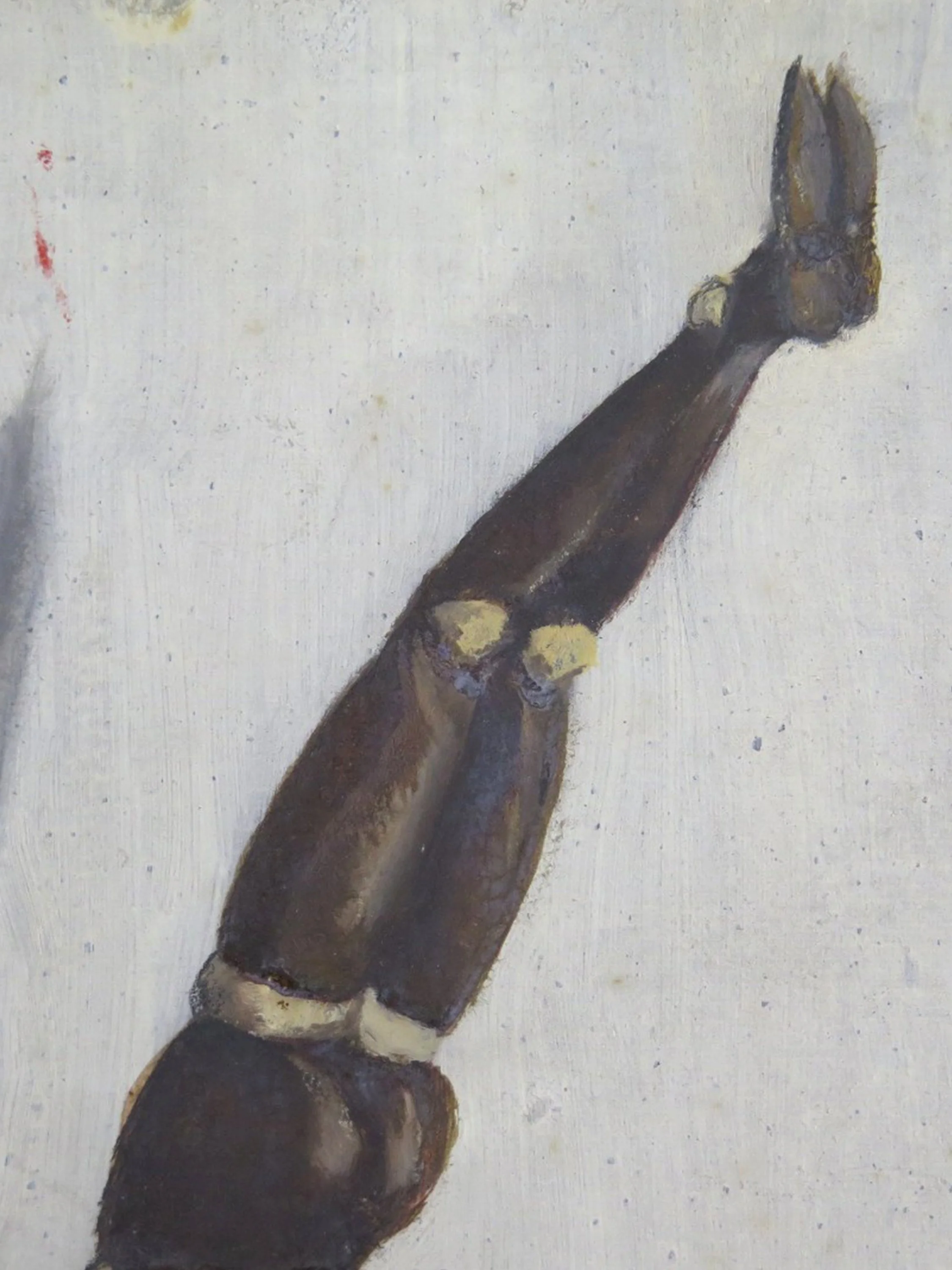 italian_handstand3.jpg