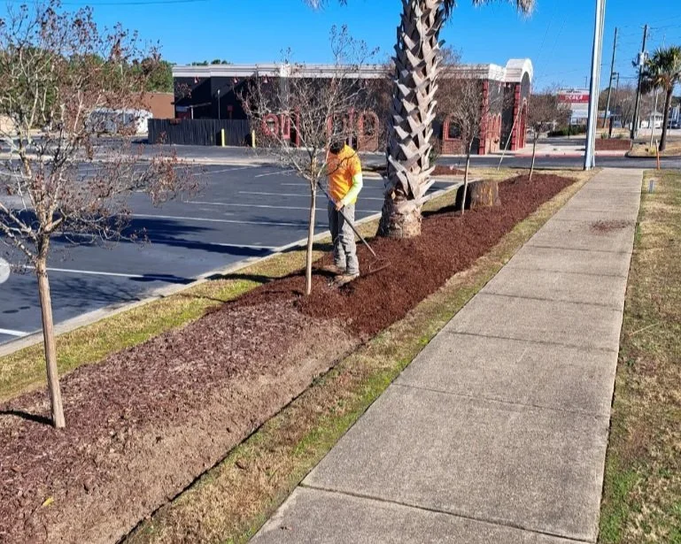 Screenshot 2024-01-26 190404.jpg